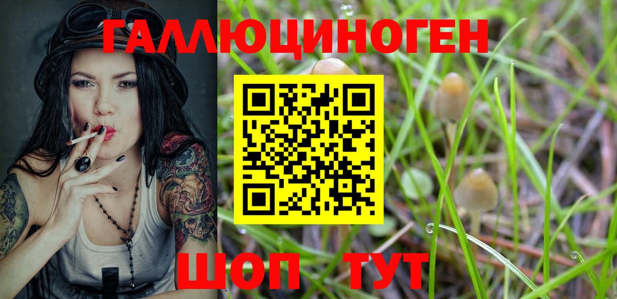 Псилоцибиновые грибы Psilocybine cubensis Кирово-Чепецк
