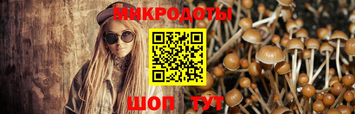 Кирово-Чепецк  купить  цена  Вход с VPN  Псилоцибиновые грибы Psilocybe  Псилоцибиновые грибы Cubensis 